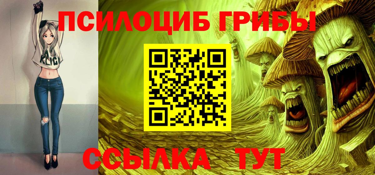 Галлюциногенные грибы мицелий Энгельс