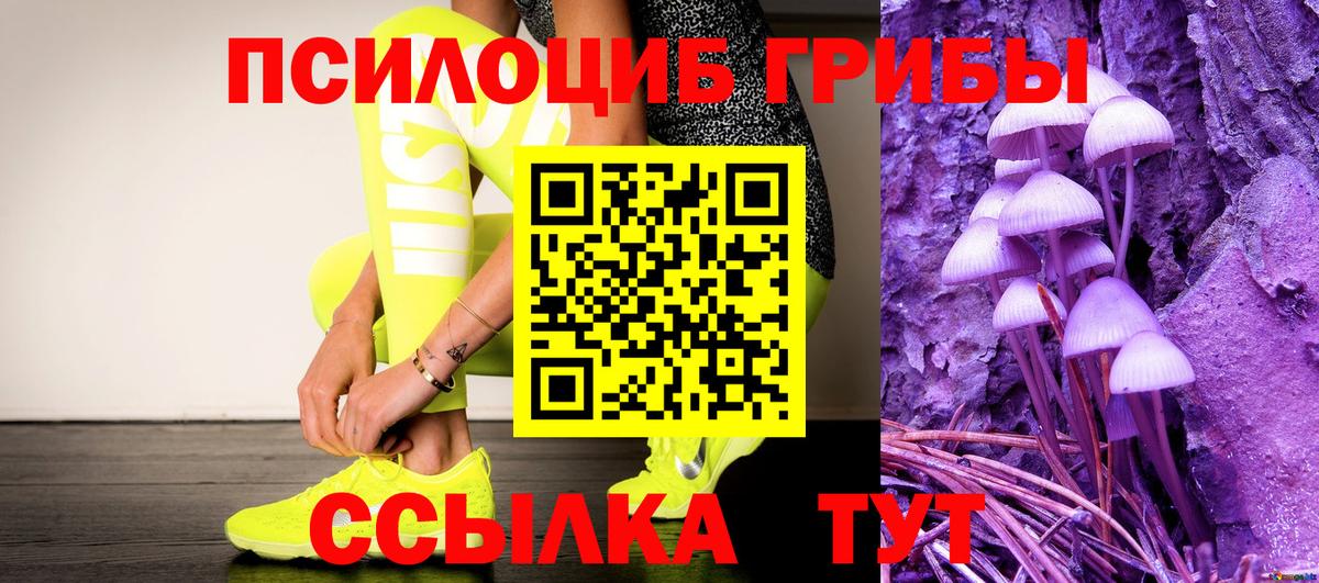 Энгельс  Псилоцибиновые грибы GOLDEN TEACHER  Вход с VPN 