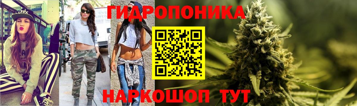 Каннабис планчик  Бошки марихуана OG Kush  Вход с VPN  Энгельс 